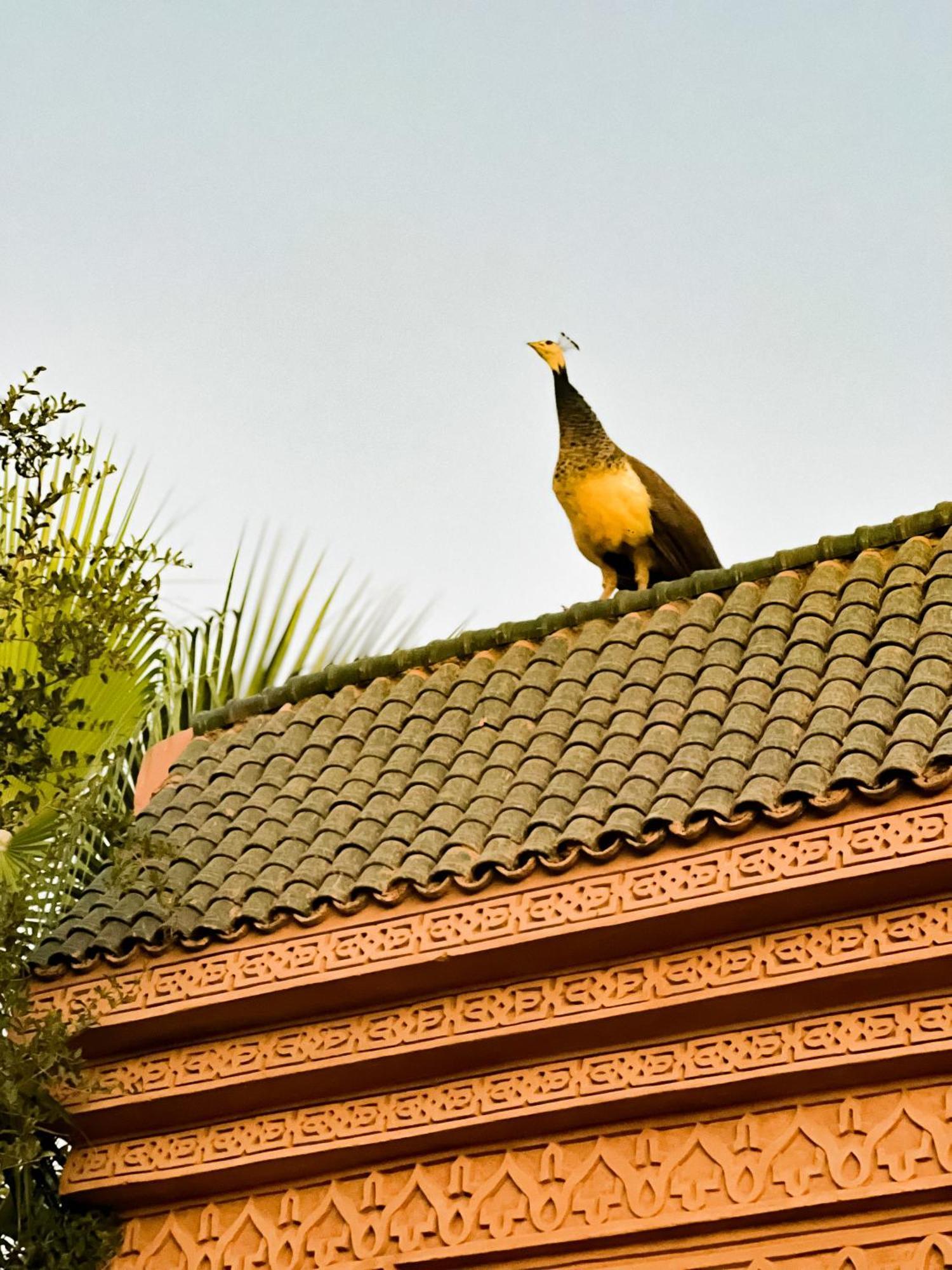 Guest House Qodwa Sidi Abdallah Ghiat Buitenkant foto
